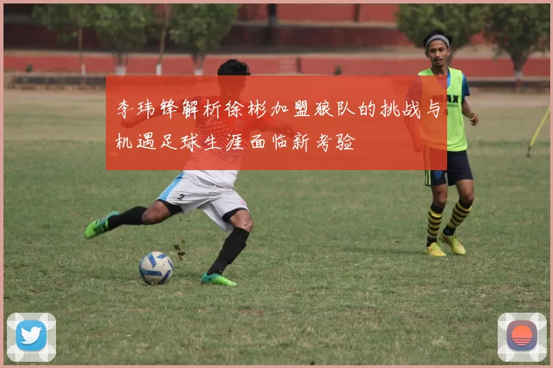 李玮锋解析徐彬加盟狼队的挑战与机遇足球生涯面临新考验